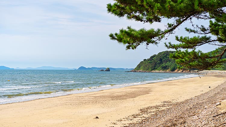 밧개해수욕장