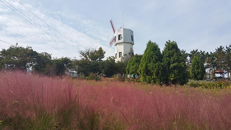 팜카밀레